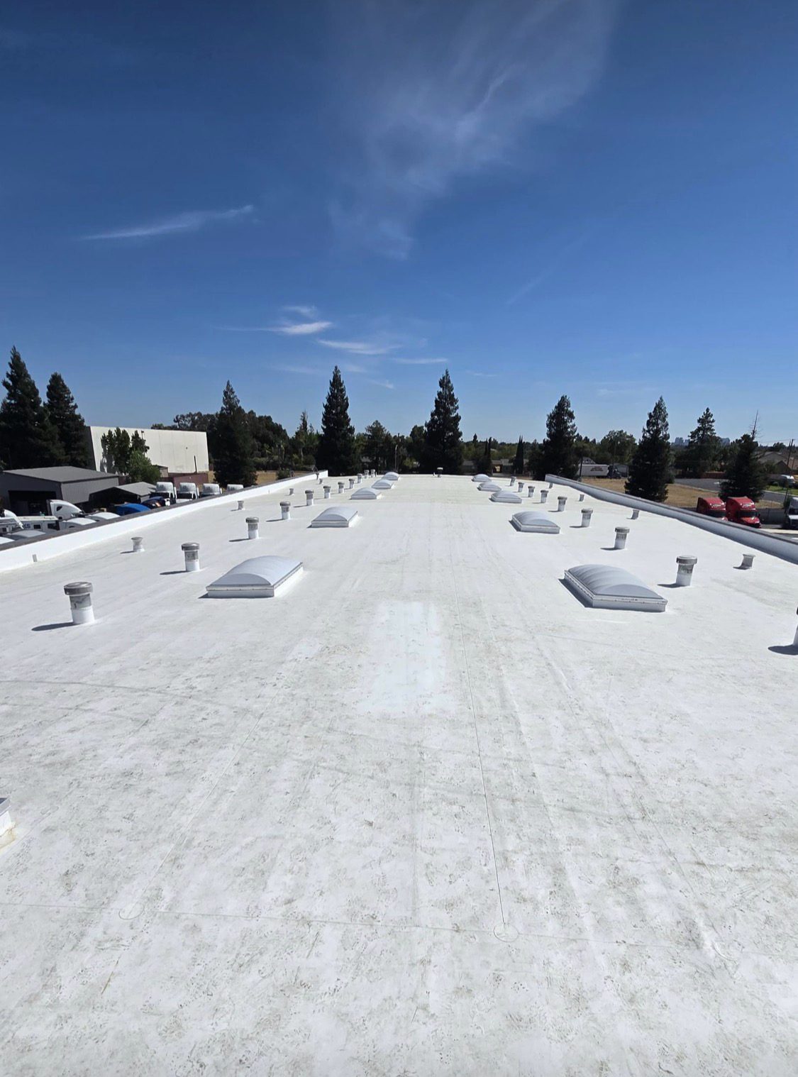 Cool-roof membrane with skylights over a retail center